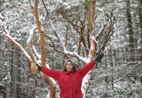 A faraway shot of a woman in a red winter jacket standing in winter jacket and a tree behind her