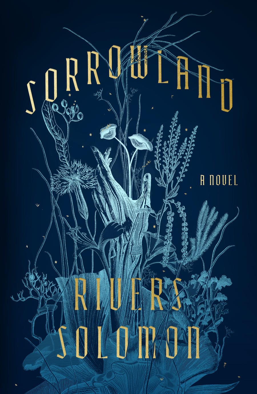 The cover photo for the novel SORROWLAND, by Rivers Solomon