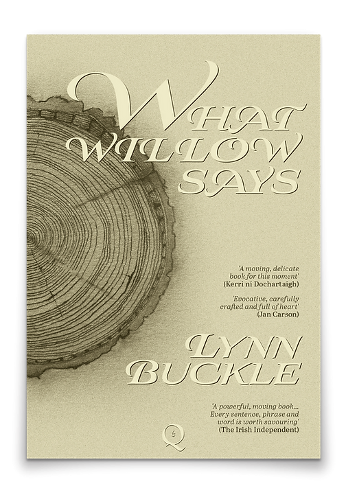 The cover for the novel WHAT WILLOW SAYS, by Lynn Buckle