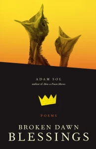 Cover image for Adam Sol's poetry collection BROKEN DAWN BLESSINGS, showing a close-up shot of two baby birds with their mouths open wide, set against a hazy yellow background.