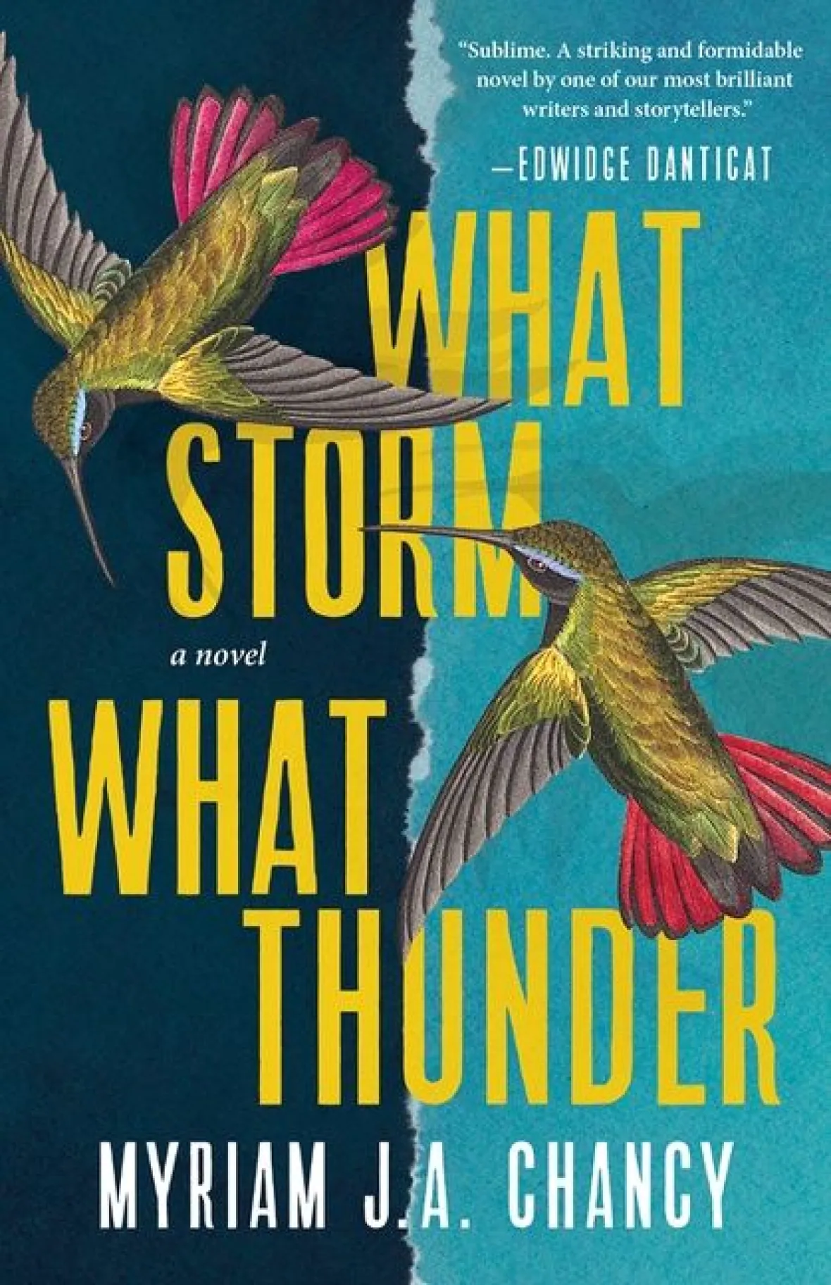 Cover image for Myriam J. Chancy's novel, WHAT STORM, WHAT THUNDER, showing two hummungbirds against a blue background.